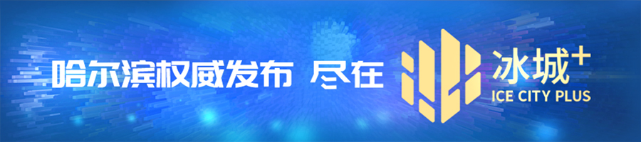 肩关节脱位治疗_哈尔滨市第五医院骨科_猫咪肩关节脱位：复位与康复训练