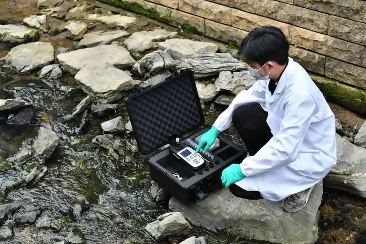 水族箱生态平衡的秘密_水培植物观赏鱼搭配_花鱼共养模式