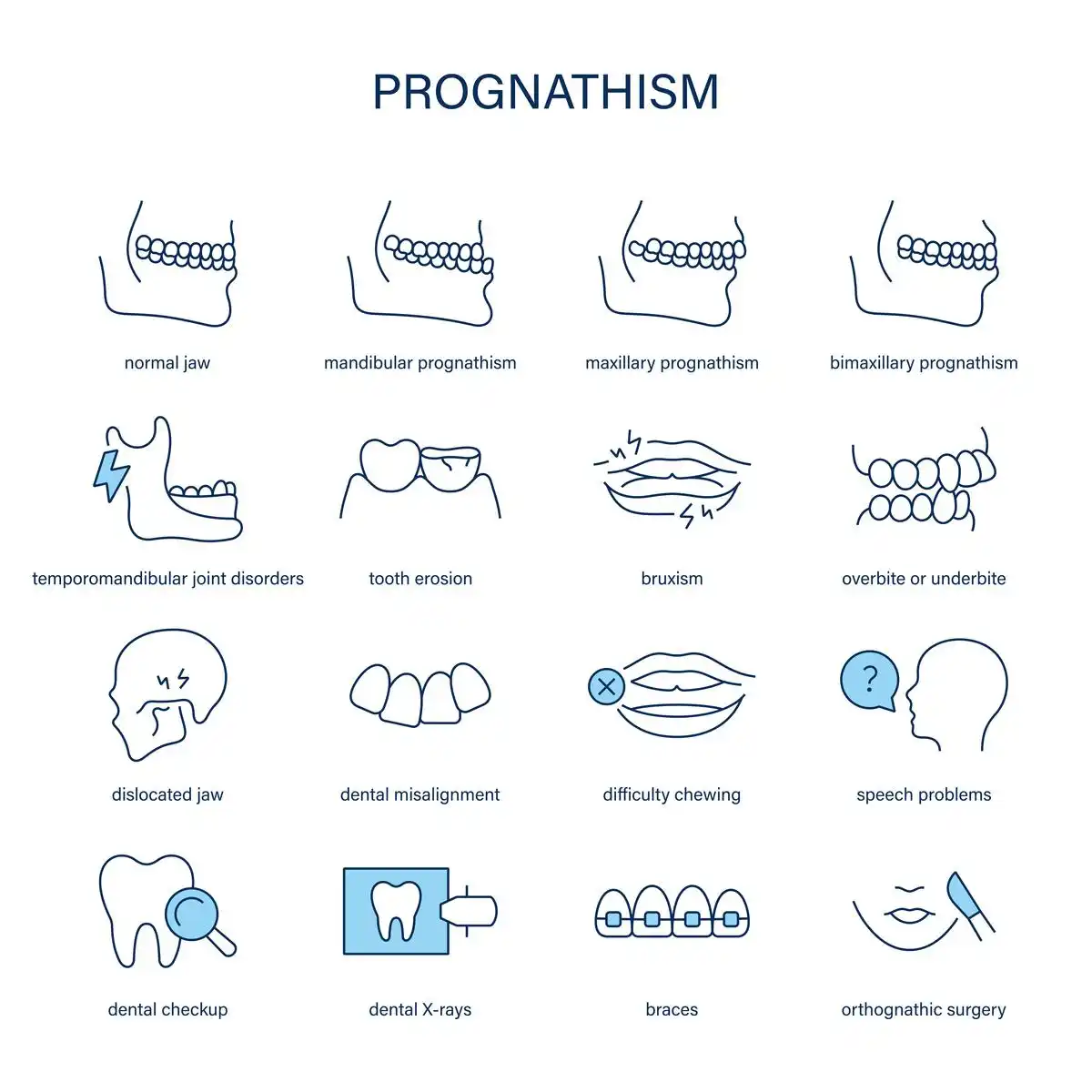 猫咪下巴的黑点之谜,成因、治疗与预防全解析-派特超人-宠物