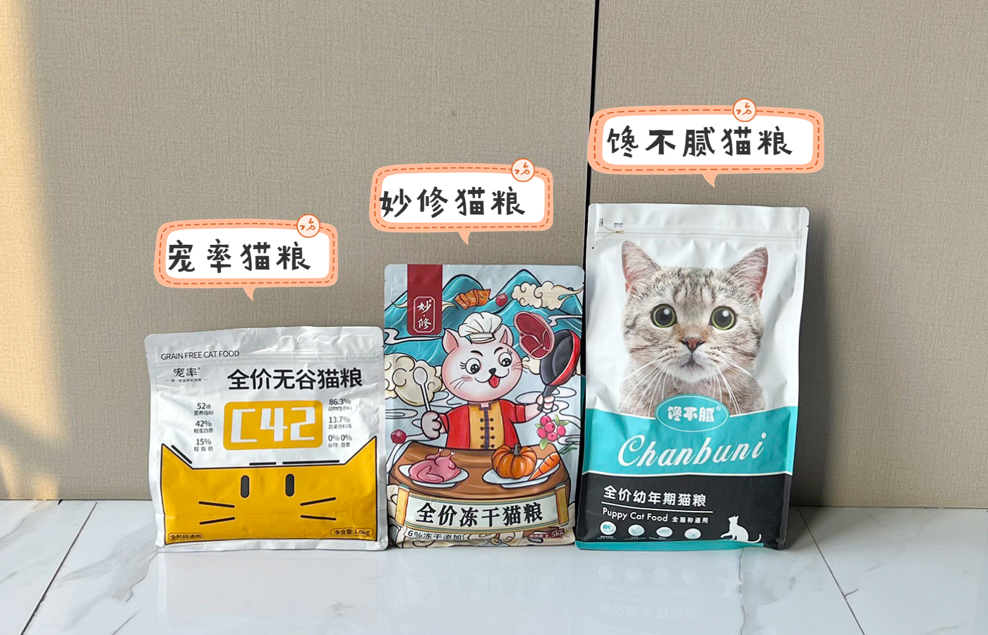 猫咪忌口食物_猫咪洗澡时的水温测试方法_新手养猫注意事项