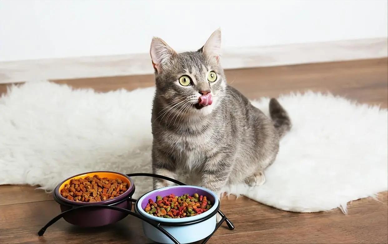 猫咪吃葡萄肾衰竭_如何让猫咪不害怕洗澡_猫咪频繁洗澡危害