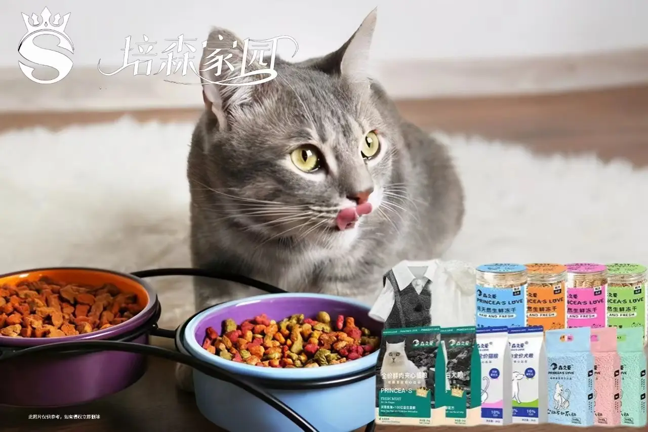 猫咪长了“黑下巴”?铲屎官必看急救指南-派特超人-宠物