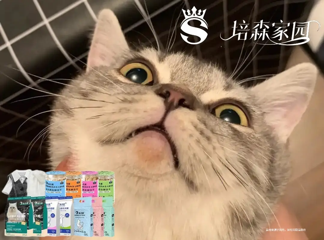 猫咪黑下巴成因_猫咪黑下巴治疗方法_猫咪黑下巴的成因和治疗方法