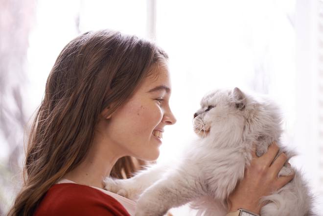 如何让猫咪爱上猫隧道_猫咪喜欢奴才技巧_猫咪相处绝招