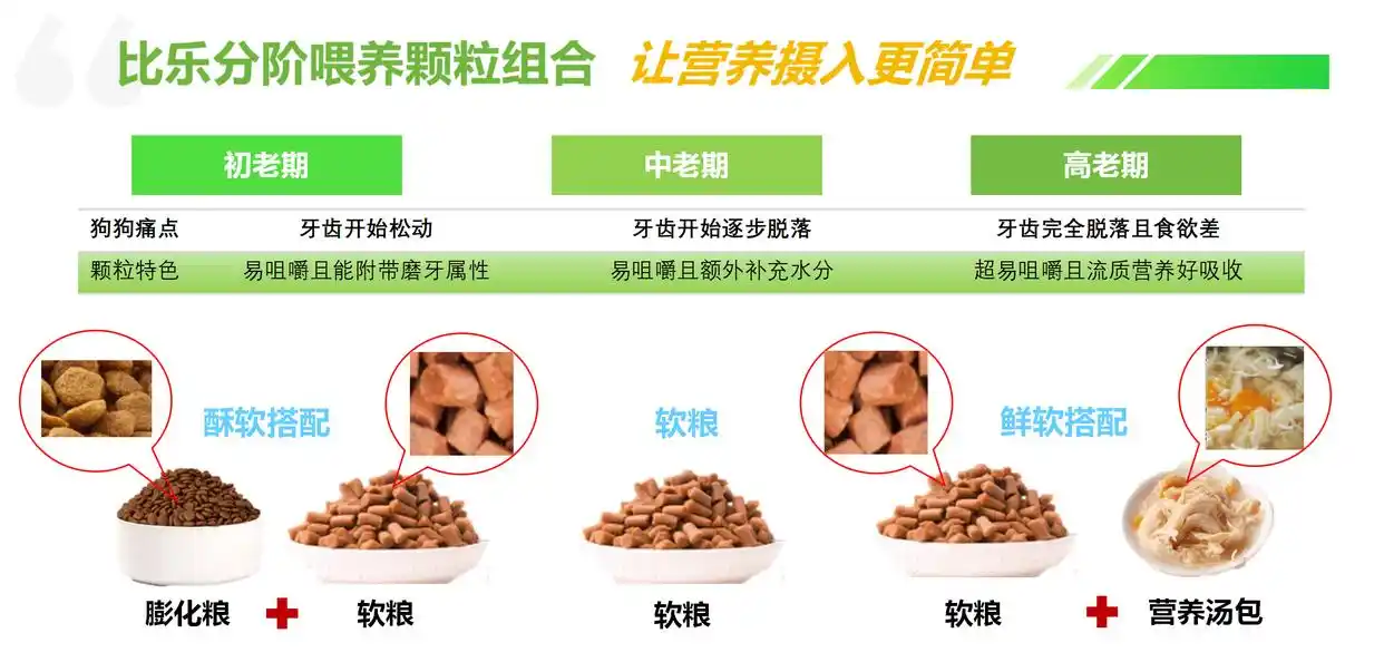 老年犬划分标准_老年犬数量增长_定期检查狗狗皮肤的重要性