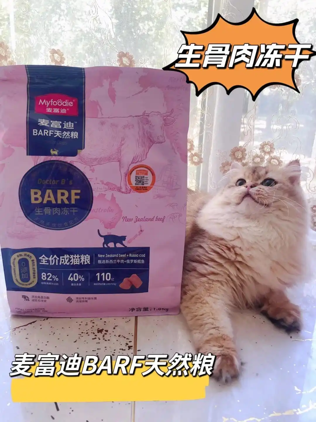 猫咪咳嗽像卡毛可能是哮喘发作_猫咪间歇性咳嗽原因_猫支气管炎与哮喘诊断
