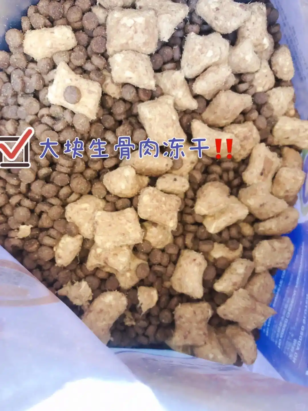 猫咪间歇性咳嗽原因_猫咪咳嗽像卡毛可能是哮喘发作_猫支气管炎与哮喘诊断