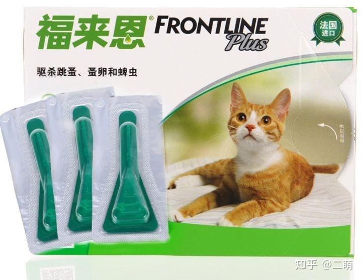 猫咪体内寄生虫症状_猫咪驱虫方法_猫咪最喜欢的雨天活动