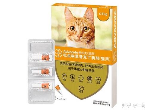 猫咪驱虫方法_猫咪最喜欢的雨天活动_猫咪体内寄生虫症状
