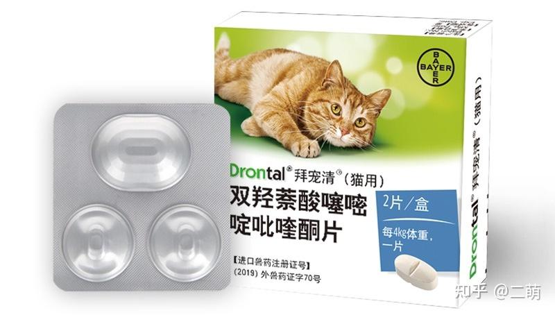 猫咪体内寄生虫症状_猫咪驱虫方法_猫咪最喜欢的雨天活动