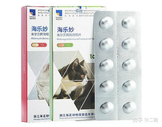 猫咪驱虫方法_猫咪体内寄生虫症状_猫咪最喜欢的雨天活动