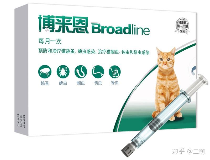 猫咪最喜欢的雨天活动_猫咪驱虫方法_猫咪体内寄生虫症状