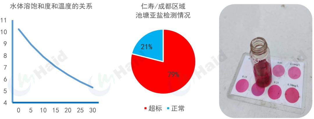 鱼缸绿藻泛滥引起的鱼病_高温天气水体溶氧影响_池塘藻类演替节律