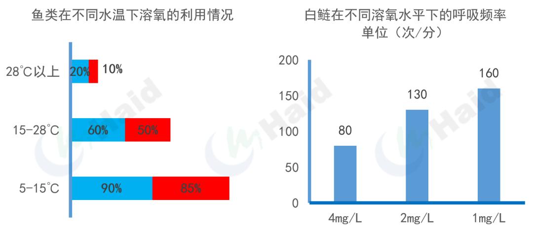 池塘藻类演替节律_高温天气水体溶氧影响_鱼缸绿藻泛滥引起的鱼病