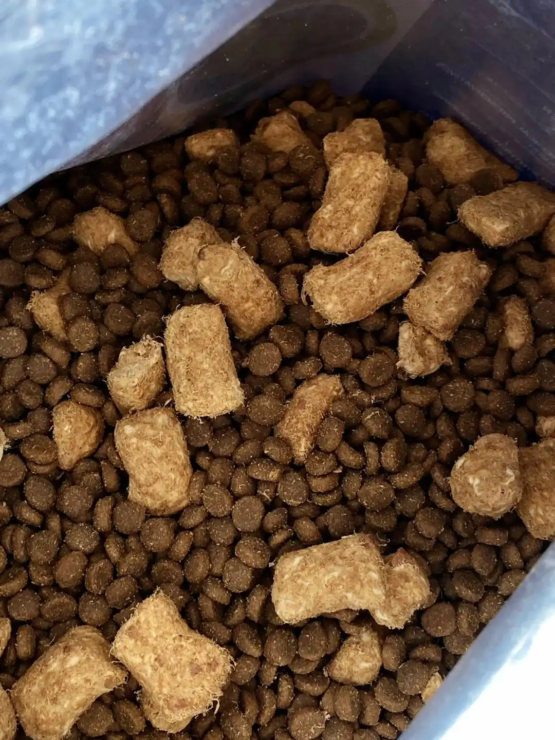 猫咪咳嗽原因_猫哮喘治疗策略_猫咪咳嗽像卡毛可能是哮喘发作