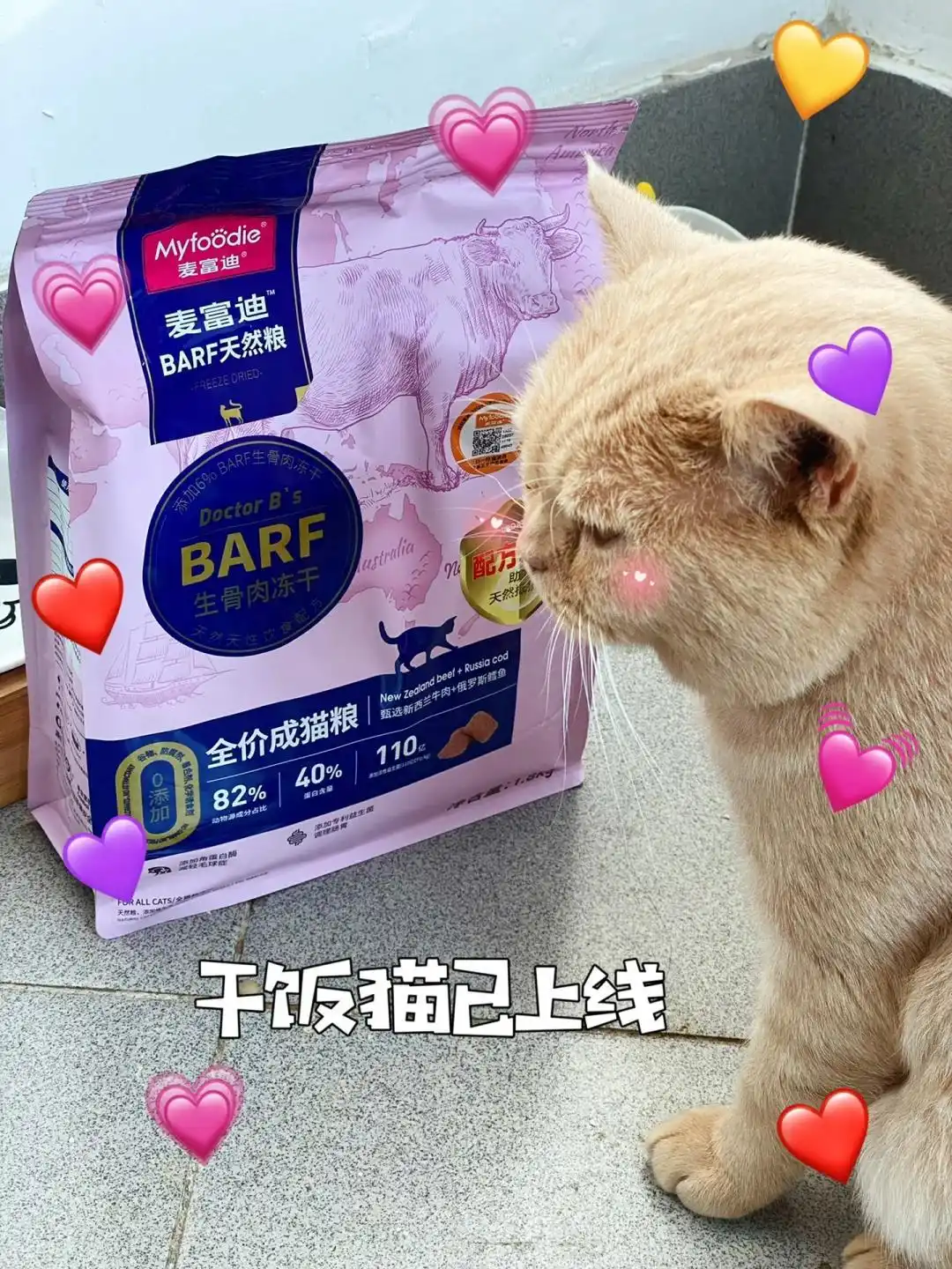猫咪咳嗽像卡毛可能是哮喘发作_猫哮喘治疗策略_猫咪咳嗽原因