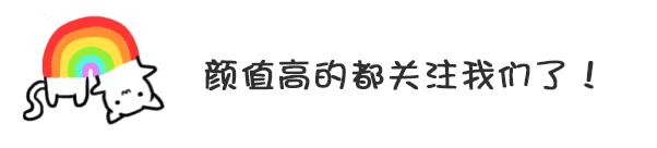幼犬期饲养要点_狗狗颈部皮炎？项圈摩擦和过敏_狗狗不同年龄阶段照顾方法