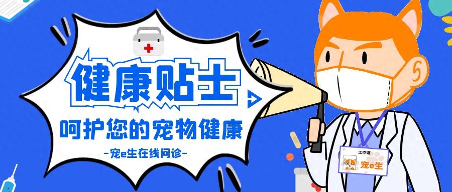 宠e生科普:家里的狗狗患干眼症,你知道该怎么处理吗?-派特超人-宠物