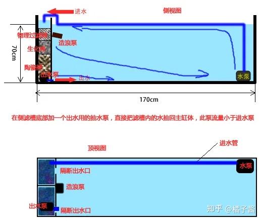 鱼缸挑选技巧_鱼缸绿藻泛滥引起的鱼病_高性价比鱼缸推荐