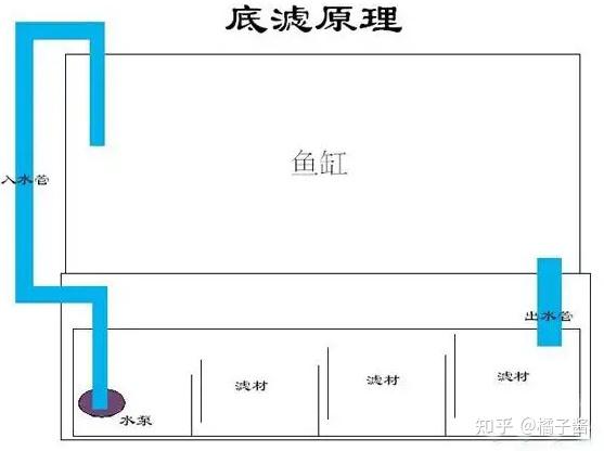 高性价比鱼缸推荐_鱼缸绿藻泛滥引起的鱼病_鱼缸挑选技巧