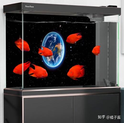 鱼缸挑选技巧_高性价比鱼缸推荐_鱼缸绿藻泛滥引起的鱼病