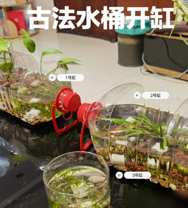 如何打造会呼吸的生态鱼缸_废弃矿泉水桶生态鱼缸_变废为宝生态缸制作
