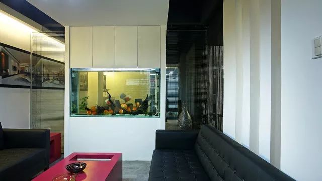 嵌入式鱼缸制作过程_鱼缸装修防水技巧_自制鱼缸背景墙的创意点子
