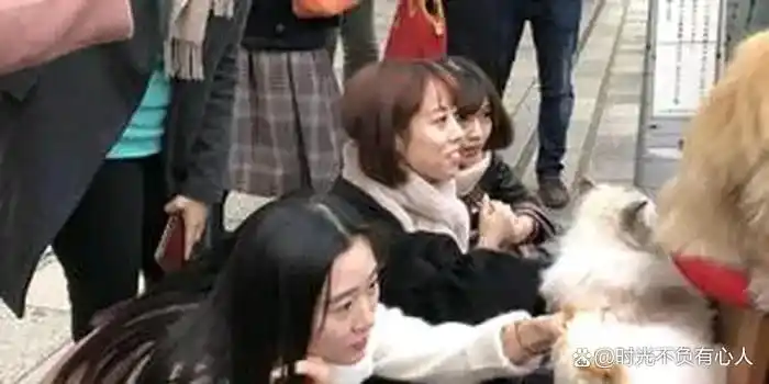上门喂食服务让出差不再担忧爱宠_春节宠物照料市场_上门喂宠物兼职