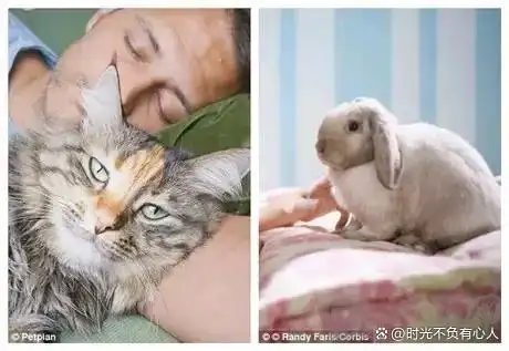 上门喂食服务让出差不再担忧爱宠_上门喂宠物兼职_春节宠物照料市场