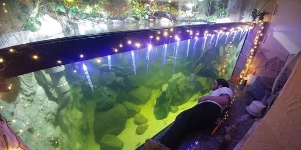 自制鱼缸背景墙的创意点子_18吨鱼池建造过程_自制超大鱼缸