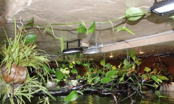 自制鱼缸背景墙的创意点子_18吨鱼池建造过程_自制超大鱼缸