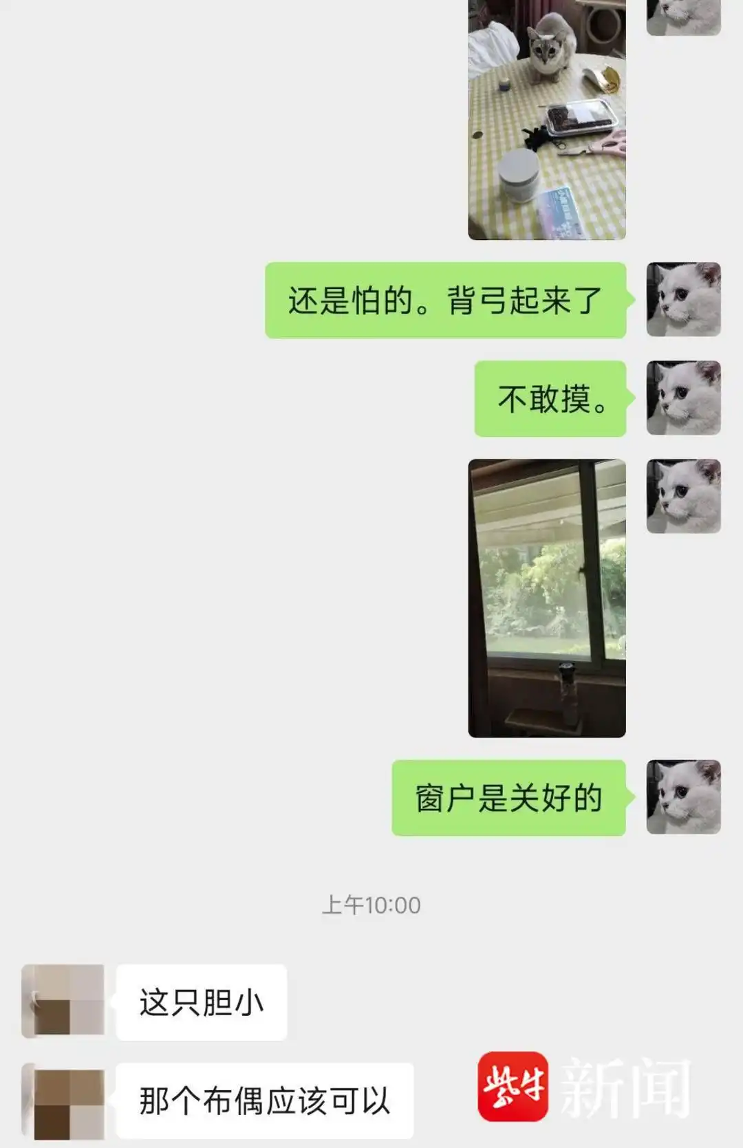 上门喂宠兼职_国庆假期宠物喂养服务_上门喂食服务让出差不再担忧爱宠