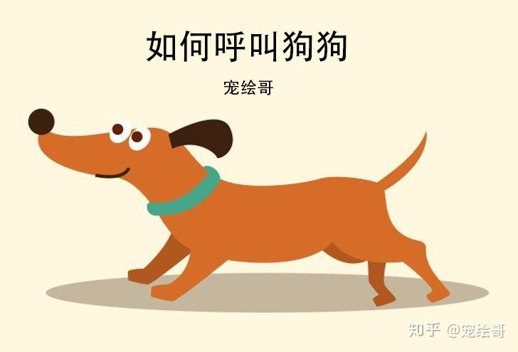幼犬上厕所训练技巧_训练狗狗乖乖剪指甲的秘诀_新手狗训练方法