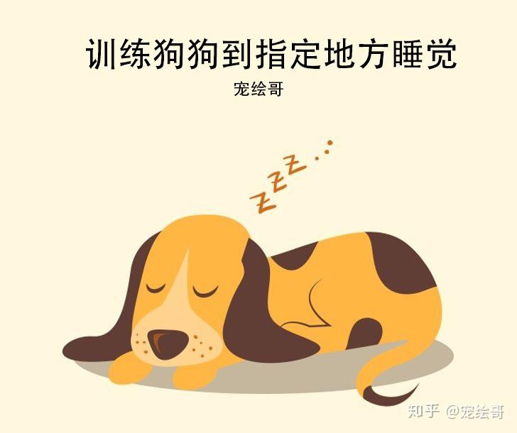 新手狗训练方法_训练狗狗乖乖剪指甲的秘诀_幼犬上厕所训练技巧