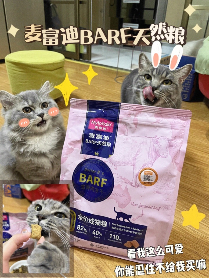 猫咪嗓子发炎治疗多西环素_猫咪叫声嘶哑可能是喉部问题_猫咪嗓子沙哑原因处理