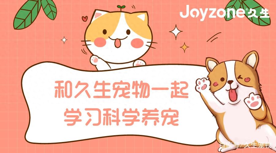 狗的脚臭让人上瘾？还有益健康？-派特超人-宠物