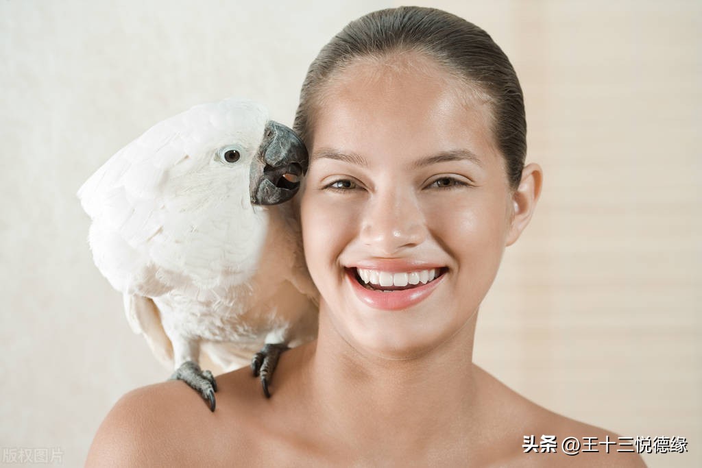 训练鹦鹉不抗拒剪指甲_鹦鹉咬人原因分析_鹦鹉咬人如何避免