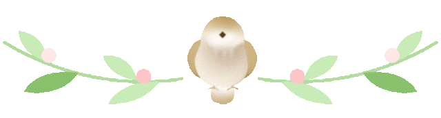 上海常见鸟类有哪些?怎么区分?来看这份“认鸟”指南→-派特超人-宠物