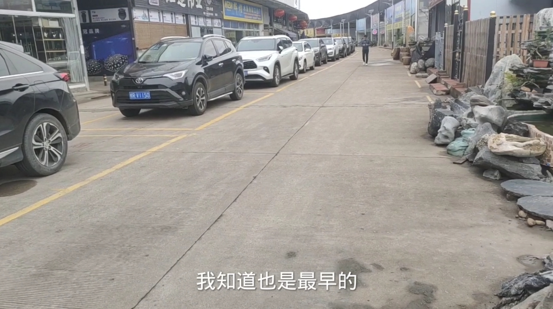 孔雀鱼有多少品种？新手也能容易上手的观赏鱼，母鱼产仔要分开养-派特超人-宠物