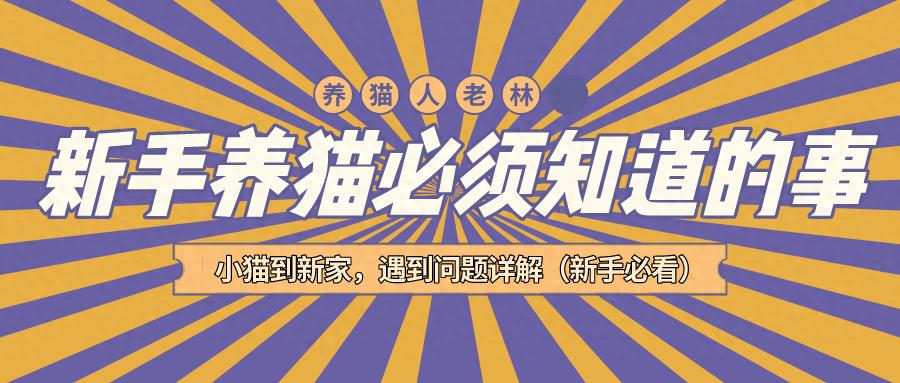 猫咪养护知识_新猫适应新家指南_猫咪打呼噜不一定是舒服也可能是呼吸道问题