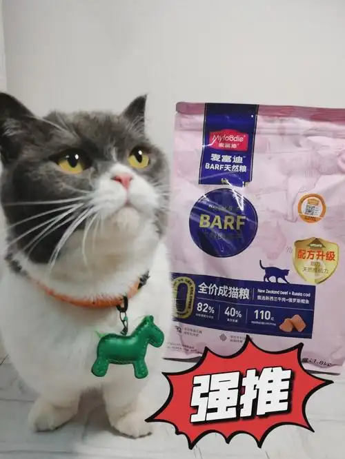 猫咪最喜欢的抚摸方式_猫猫身体语言解读_正确摸猫方法