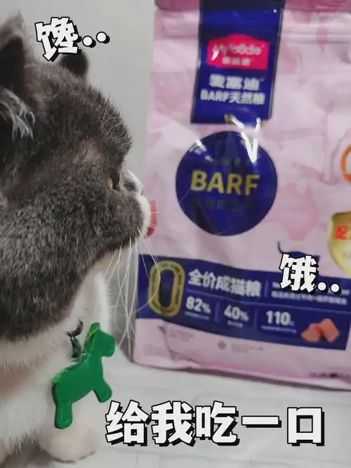 正确摸猫方法_猫咪最喜欢的抚摸方式_猫猫身体语言解读