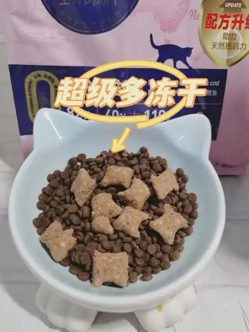 正确摸猫方法_猫咪最喜欢的抚摸方式_猫猫身体语言解读