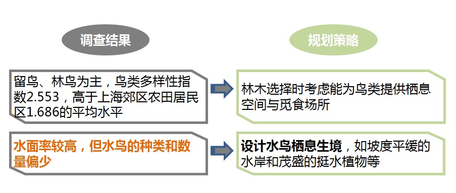 如何教会鸟类简单分类_上海土地整治生态工程建设_上海郊野鸟类调查