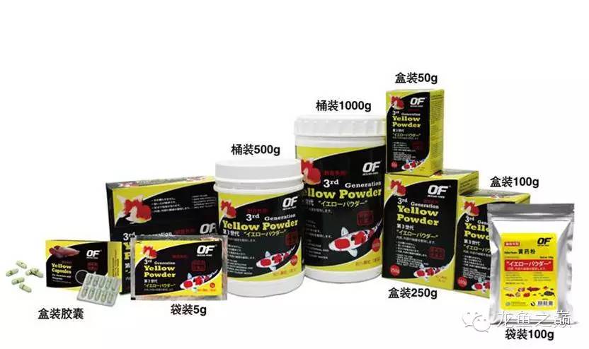 一问一答丨观赏鱼细菌感染-派特超人-宠物