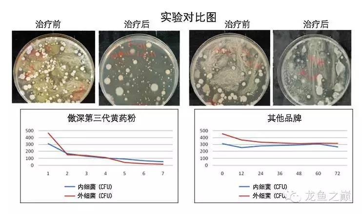观赏鱼细菌感染原因_观赏鱼细菌病症状_观赏鱼长途运输的防病要点
