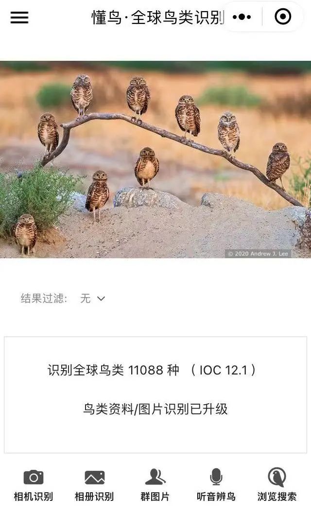 如何教会鸟类简单分类_观鸟必备装备_观鸟入门指南