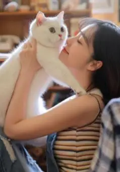 猫咪敏感区抚摸指南_猫咪最喜欢的抚摸方式_撸猫最佳部位