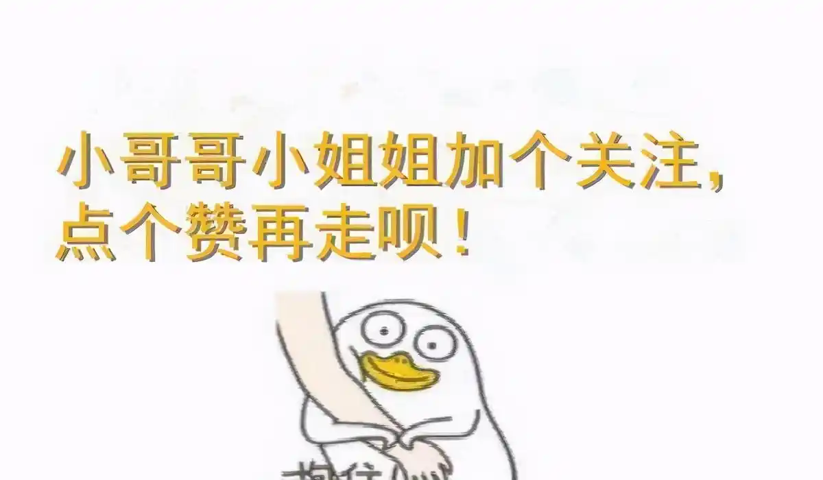 猫咪最喜欢的抚摸方式_撸猫最佳部位_猫咪敏感区抚摸指南