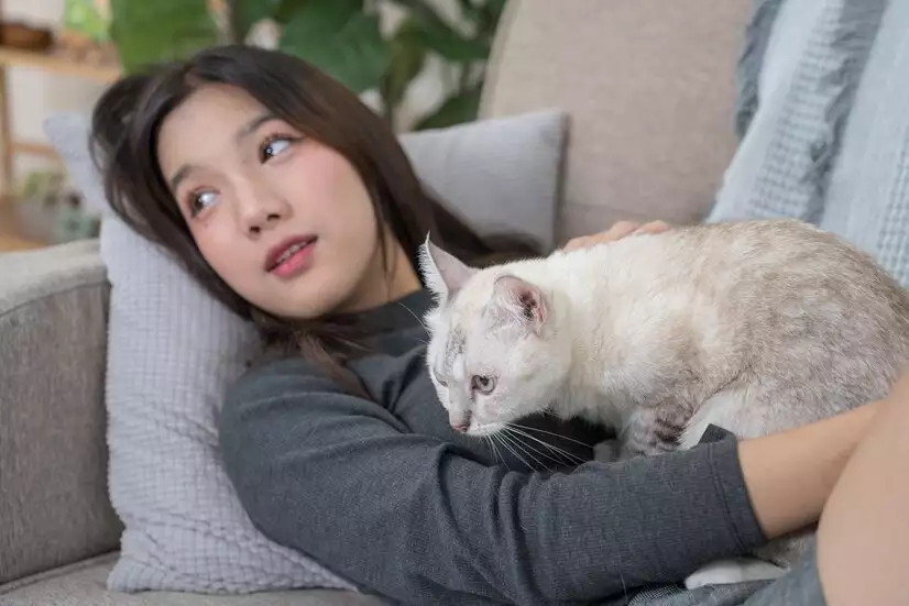 猫咪软便原因_猫咪肠胃健康调整_猫咪长期软便可能是食物过敏导致